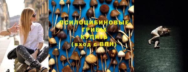 эйфоретик Аркадак